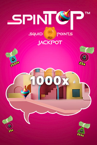 Spin Top